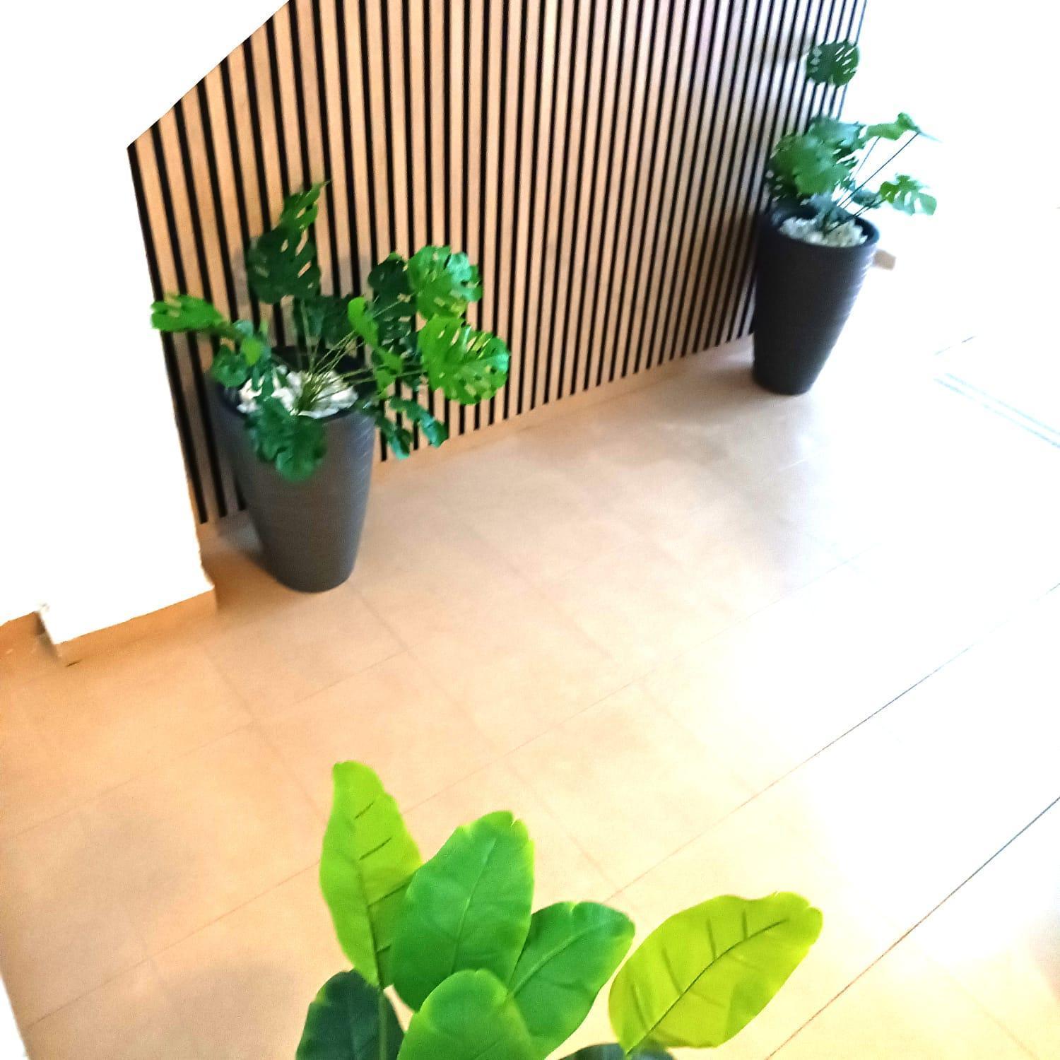 Apartamentos Terrazas De San Juan مالقة المظهر الخارجي الصورة