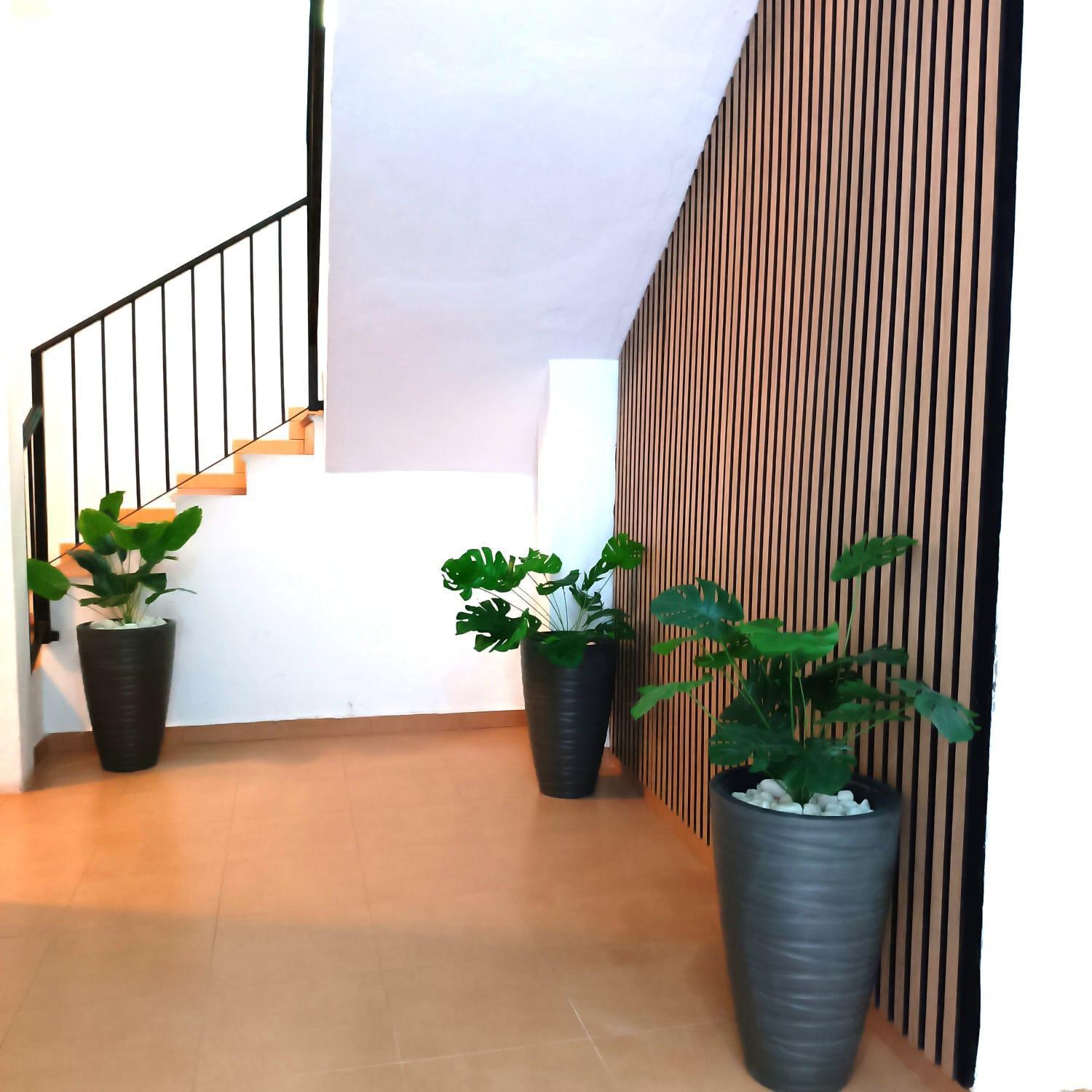 Apartamentos Terrazas De San Juan مالقة المظهر الخارجي الصورة